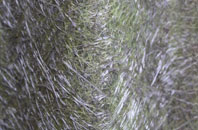 Fforest Goch fibreglass roof work